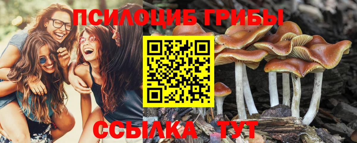 Галлюциногенные грибы прущие грибы Алексеевка