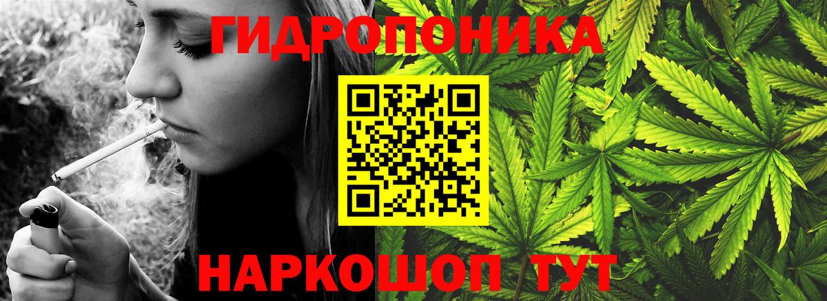 Канабис семена Алексеевка